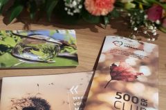 20190504_111852-rotated