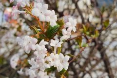 20210309_155609-rotated