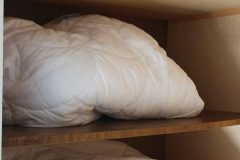20220223_140424-rotated